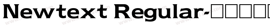 Newtext Regular字体转换